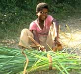 Photo-Jamaican Boy